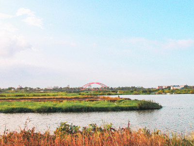 Secret Bird Watching Dream Land