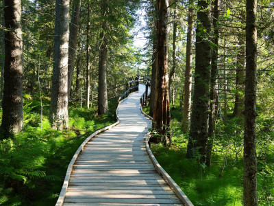 Yilan's 8 Major Hiking Trails