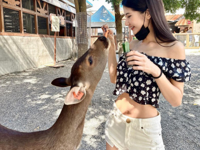 Mini Nara in Yilan Bambi Land