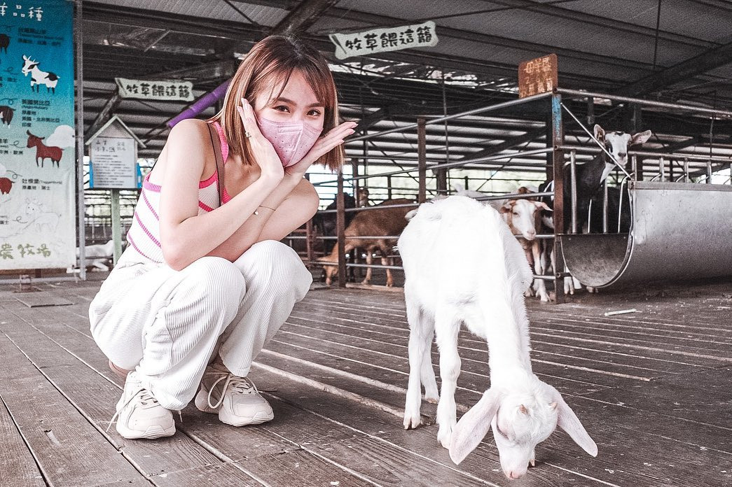 Discover the Wonders of I-Long Goat Farm