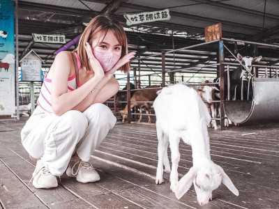 Discover the Wonders of I-Long Goat Farm