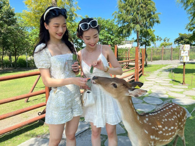Top 8 Popular Cute Animal Farms in Yilan