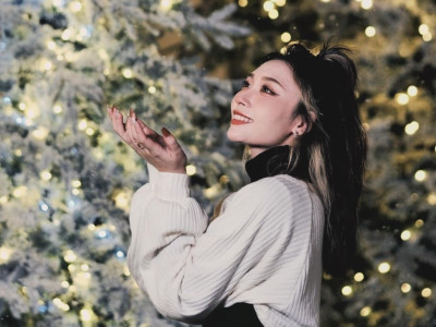 2025 Dreamy Christmas Photo Spot