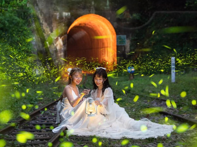 2025全台夏夜螢火蟲觀賞秘境