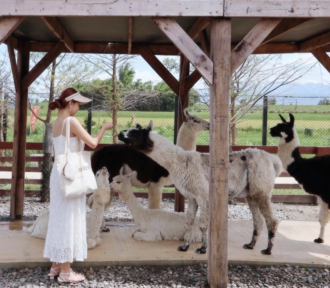 Highlights of Lanyang Animal and Plant Kingdom