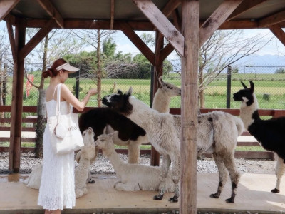 Highlights of Lanyang Animal and Plant Kingdom