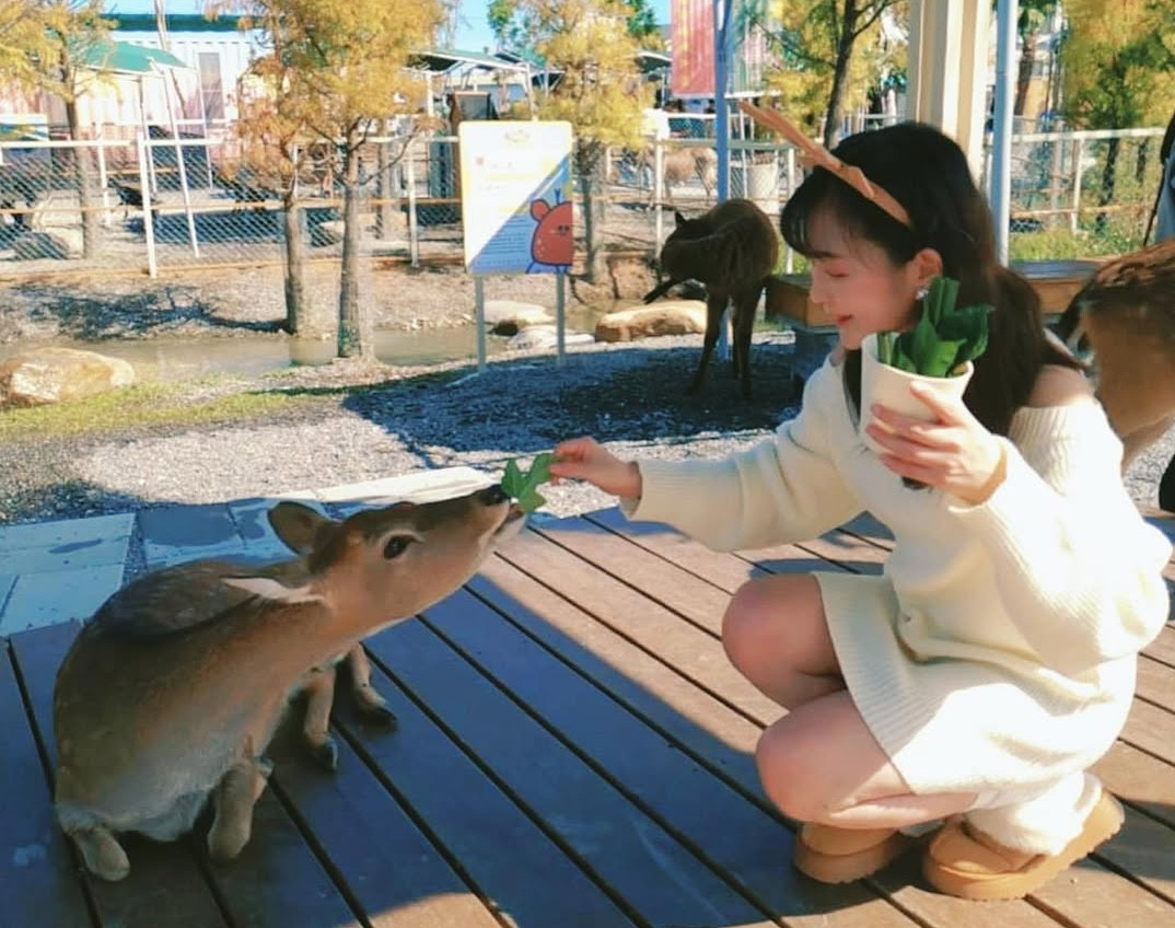 宜蘭動物親子樂園：星夢森林劇場好好玩