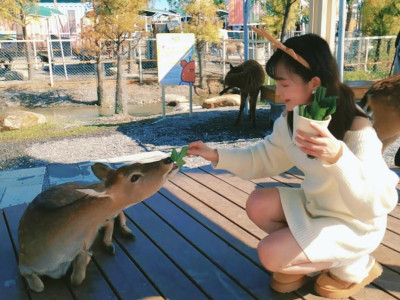 宜蘭動物親子樂園：星夢森林劇場好好玩