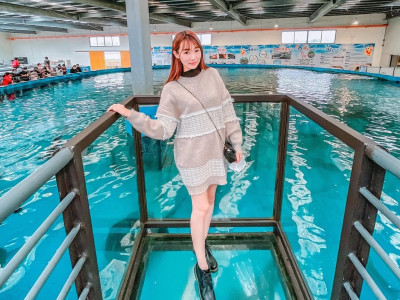 夏日消暑水族旅遊：宜蘭金車水產養殖中心