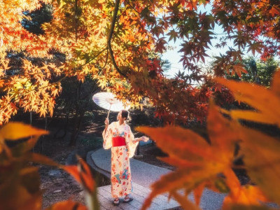 Autumn Exclusive! Top Maple Leaf Viewing Spots in Taiwan