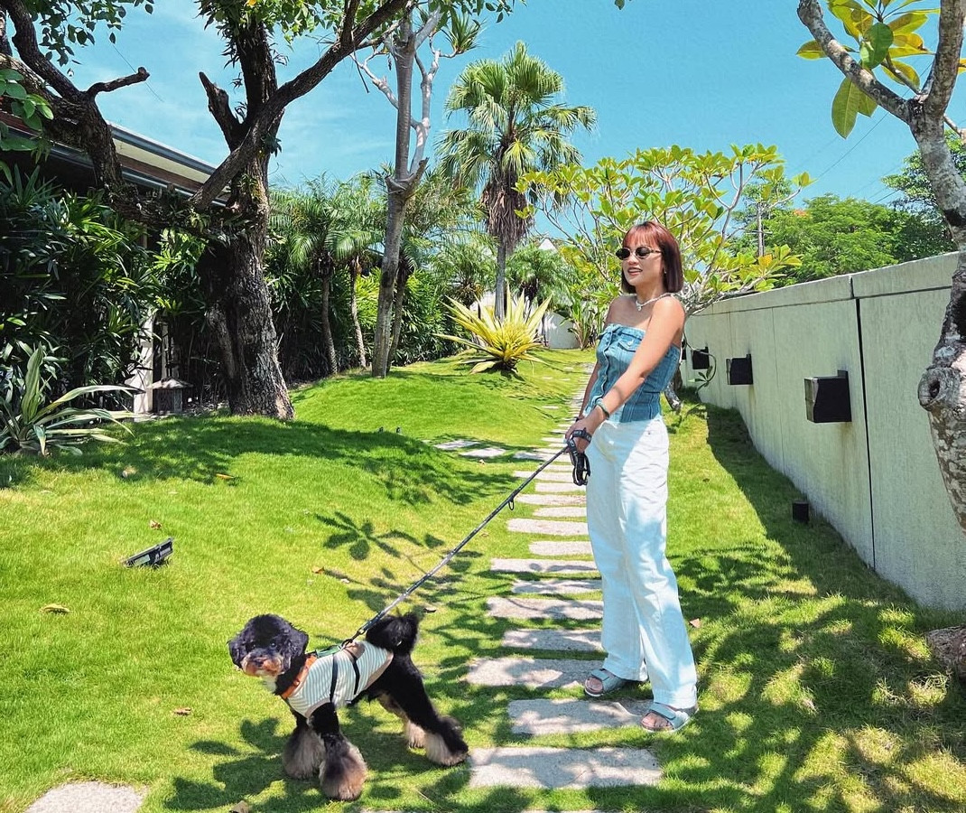 Top Pet-Friendly Homestays in Yilan for Traveling with Your Fur Baby
