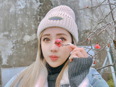 2026 Yilan Sakura Season Travel Guide & Transport Tips