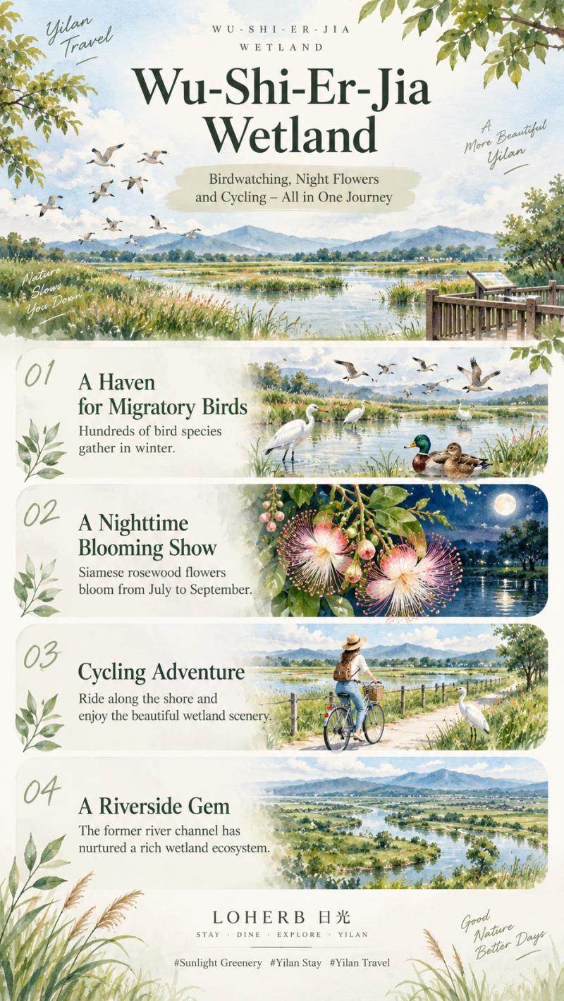 Secret Bird Watching Dream Land
