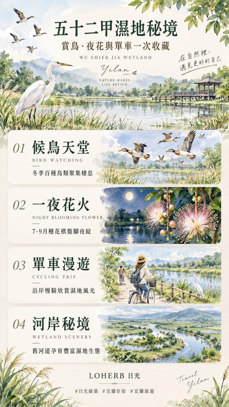 賞鳥秘境五十二甲溼地
